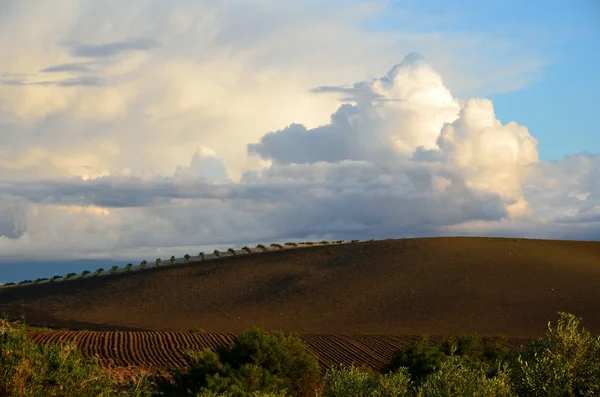 肥沃な丘の上の雨の雲 — ストック写真