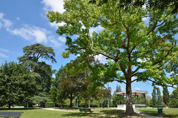 boğucu yaz Park beaumont