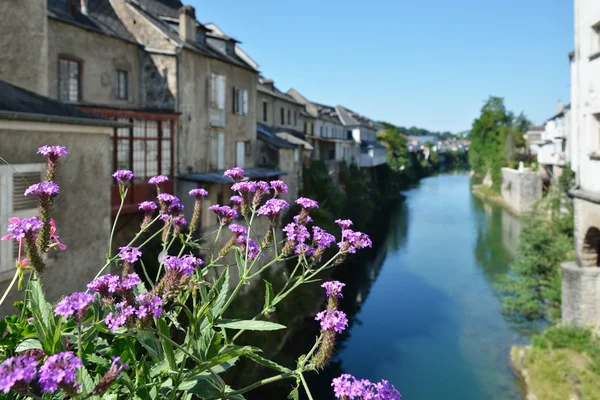 Vista estiva della città basca Mauleon-Licharre — Foto Stock