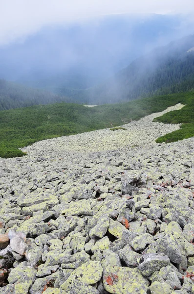 カルパティア山脈の山の中腹にコケに覆われた氷堆石 — ストック写真