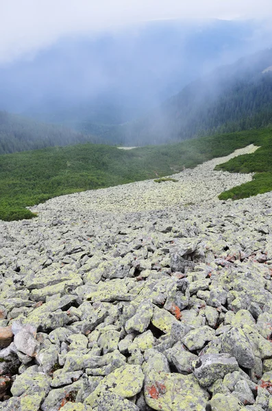 Mohos moraine, a Kárpátok sípályára — Stock Fotó