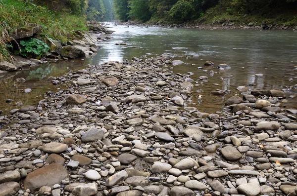 Mountain river in the Carpathians — Stock Photo, Image