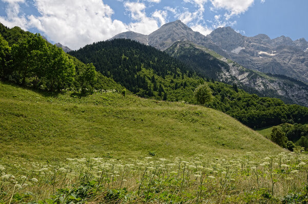Pyrenees in summer