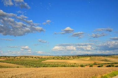İspanyol ülkenin peyzaj bahar