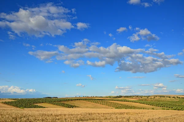 Vista agrícola espanhola — Fotografia de Stock