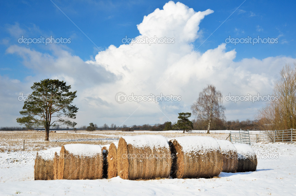 Field with straw bales in winter Germany