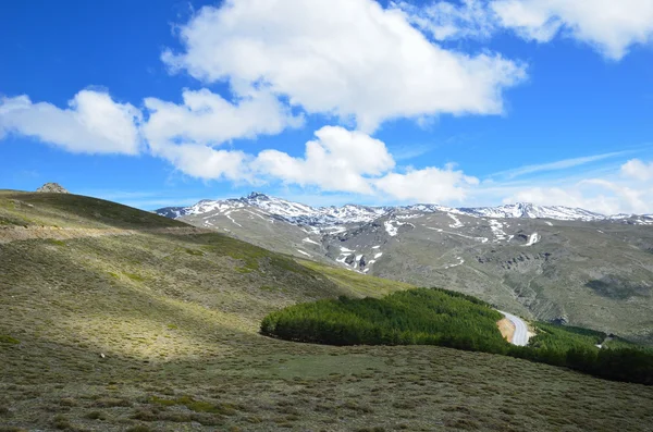 Vår utsikt över sierra nevada — Stockfoto