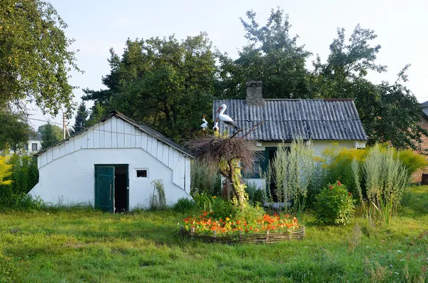 Cortile paese ucraino con un nido di gru — Foto Stock