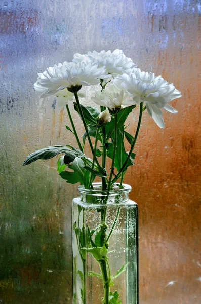 Φθινόπωρο κομμένα λουλούδια στο παράθυρο — Φωτογραφία Αρχείου