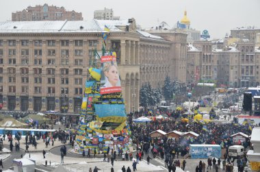 euromaidan. 11.12.2013. kiev. Polis Kuvvetleri. saldırının ertesi gün. Pro et contra gösteriler. devrim Ukrayna.