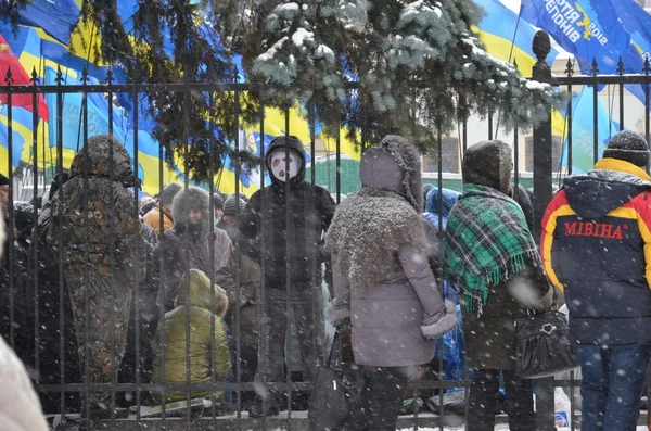 Euromaidan. 11.12.2013. Kiev. Il giorno dopo l'attacco. Riunione pro-presidente nella capitale ucraina. Rivoluzione in Ucraina . — Foto Stock