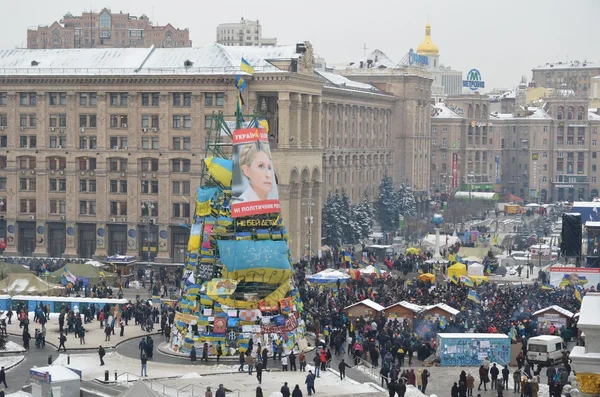 Euromaidan. 11.12.2013. το Κίεβο. αστυνομικές δυνάμεις. ημέρα μετά από την επίθεση. Pro και contra διαδηλώσεις. επανάσταση στην Ουκρανία. — Φωτογραφία Αρχείου