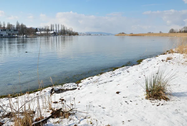 Lago não congelante no inverno suave — Fotografia de Stock
