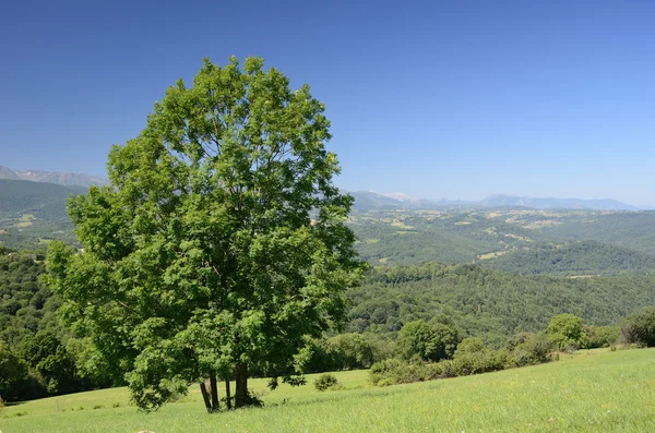 Foothills of the French Pyrenees — Stock Photo, Image