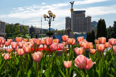 Independence Square Kyiv red flowers monuments springtime
