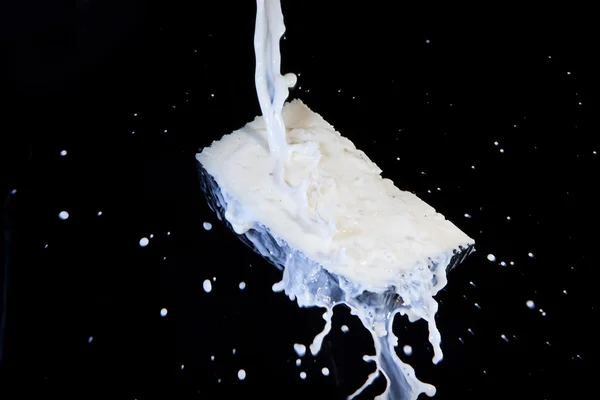 Cheese milk — Stock Photo, Image