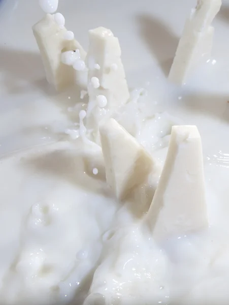 Молоко сир — стокове фото