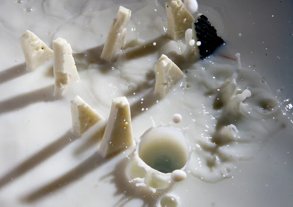 Kaas melk — Stockfoto