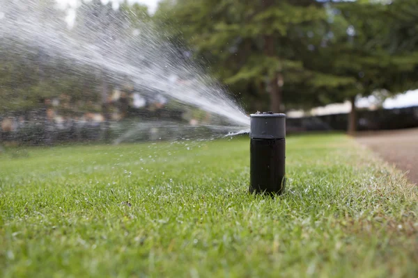 Irrigação de jardim — Fotografia de Stock