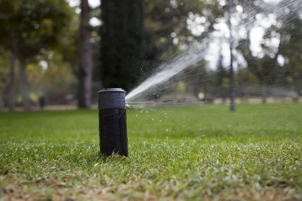 Irrigation of garden — Stock Photo, Image