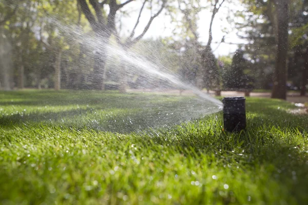 Irrigação de jardim — Fotografia de Stock