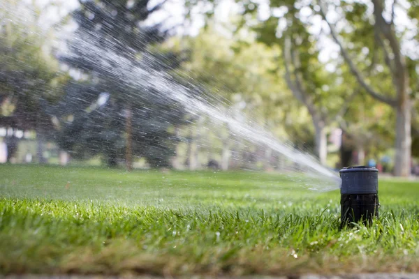 Irrigation du jardin Images De Stock Libres De Droits