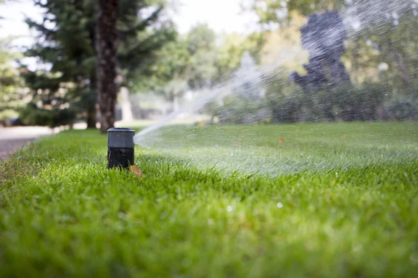 Irrigation of garden — Stock Photo, Image