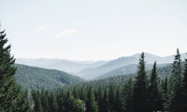 Dağları ve ormanı olan güzel bir manzara.