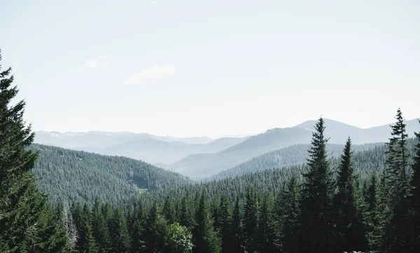 Dağları ve ormanı olan güzel bir manzara.