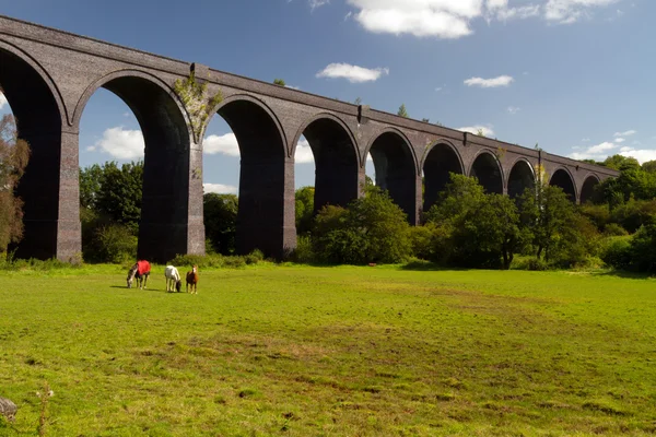 Crigglestone viaduct — Stock Photo, Image