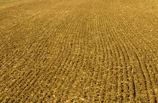 Campo arato — Foto Stock