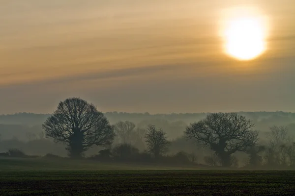 Niebla temprano en la mañana sobre los campos — Foto de Stock