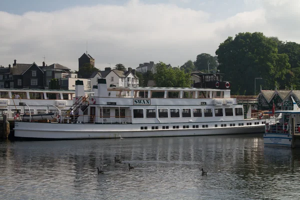 De zwaan in windermere — Stockfoto