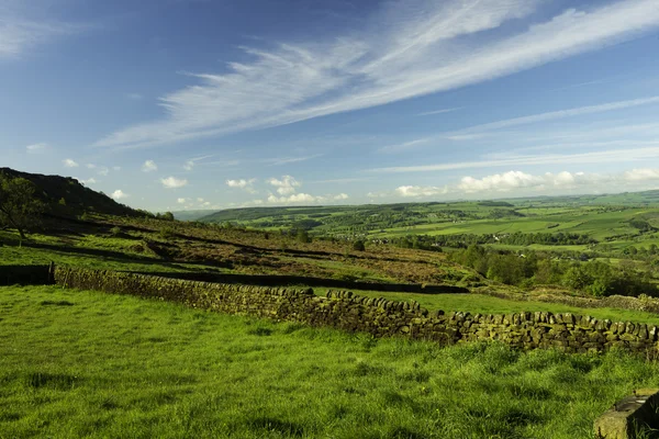 tepe distict alanları