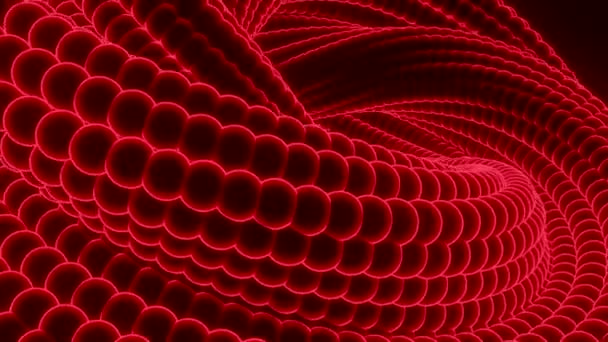 3D animation of snake skin. Design. Looped movement of wriggling snake. 3D spiral with texture of snake skin unfolds and twists — Stock Video