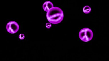 Soyut renkli şeffaf parlayan küreler siyah bir zemin üzerinde izole bir şekilde dönüyor, pürüzsüz bir döngü. Tasarım. Neon parlak, yuvarlak şekilli figürler durmadan dönüyorlar..