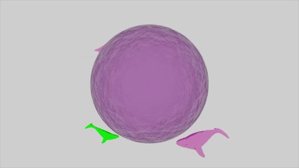 Fantasie met kleurrijk surrealisme, vliegende vissen rond vloeibare bol. Ontwerp. Zeedieren zwemmen rond grote bal, naadloze lus. — Stockvideo