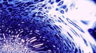 Soyut su boyası difüzyonu, sıvı sabun, dikişsiz döngü. Hareket. Mürekkep karışımlı bir kimyasal reaksiyon renkli sürreal şekiller yaratıyor..