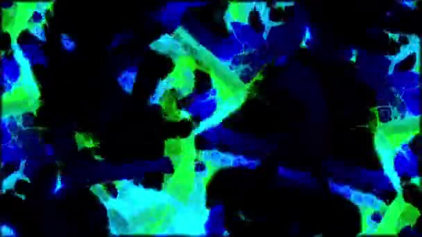 Abstrakt neon färgglada ljus dans på en svart bakgrund, sömlös loop. Design. Oändlig levande rörelse av färgglada ämne eller energi. — Stockvideo