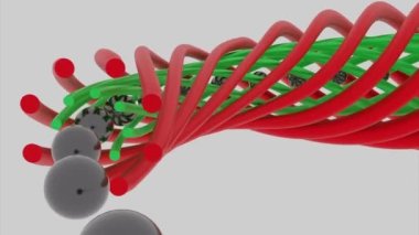 Soyut bükülmüş çizgilerle dolu renkli bir tünel, içinde topların hareket ettiği bir tünel oluşturuyor. Tasarım. Uçan küreleri ve pürüzsüz döngüsü olan renkli çizgili bir tüp..