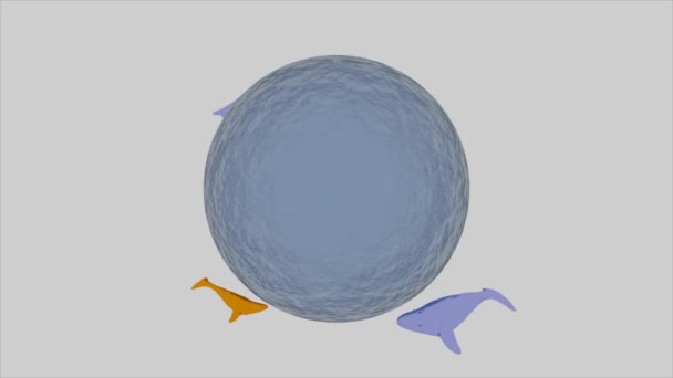 流体三维蓝球周围环绕着游泳的鲨鱼,无缝回旋.设计。与在白色背景上隔离的鱼紧密相连的波纹水圈. — 图库视频影像