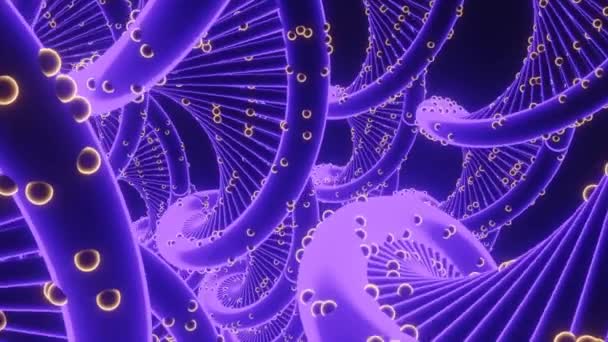 概要円状のランダムなプルールとシームレスなループを持つライラック回転らせん状の図形。デザイン。紫色の回転DNAスパイラル. — ストック動画