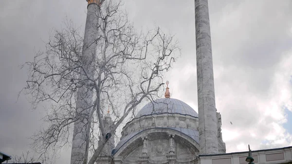 Moschea con minareti su sfondo di cielo nuvoloso. Azione. Albero nudo su sfondo di moschea in tempo nuvoloso. Bella moschea bianca con minareti in grigio tempo nuvoloso in autunno — Foto Stock