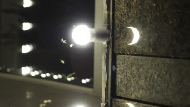 Butterflies flock to the burning light bulb. HDR. Close up of moths and flies fly near the lamp on a building wall at night. — Stock Video