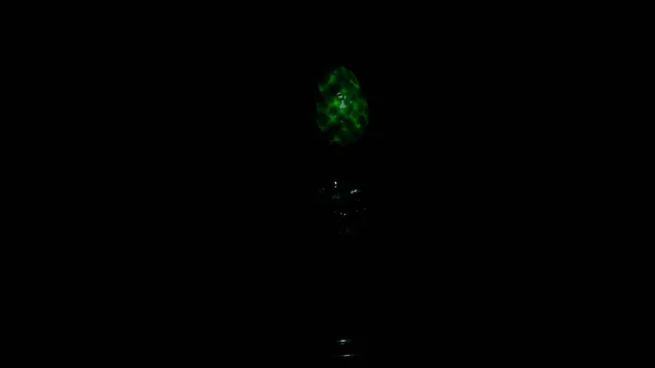 Закрыть одно яйцо пришельца в полной темноте под движущимся светом. Дизайн. Липкое светящееся внеземное яйцо с неизвестным существом внутри. — стоковое фото
