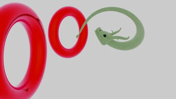 Μαγικό παραμύθι ασιατικός δράκος που πετάει μέσα από δαχτυλίδια απομονωμένα σε λευκό φόντο. Σχέδιο. Κινούμενα παραδοσιακά ανατολίτικα είδος ζώου που μοιάζει με μικροσκοπικό δράκο ή ένα φίδι που φέρουν μέσα από τους κύκλους. — Φωτογραφία Αρχείου
