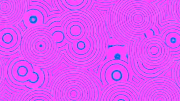 Pulsating pattern of circles and rings on colored background. Design. Flat rotating pattern with pulsating circles. Moving and changing circles pulsate on colored backdrop — Stock Video