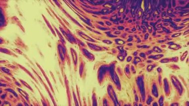 Canlı ve dalgalı hareketli grafiklerle suluboya arkaplan, kusursuz döngü. Tasarım. Parlak pembe lekeler akan doku.