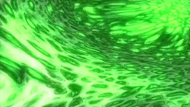 Vlekken groene inkt op het wateroppervlak, abstracte gekleurde achtergrond. Ontwerp. Vloeibare gloeiende textuur die langzaam stroomt. — Stockvideo