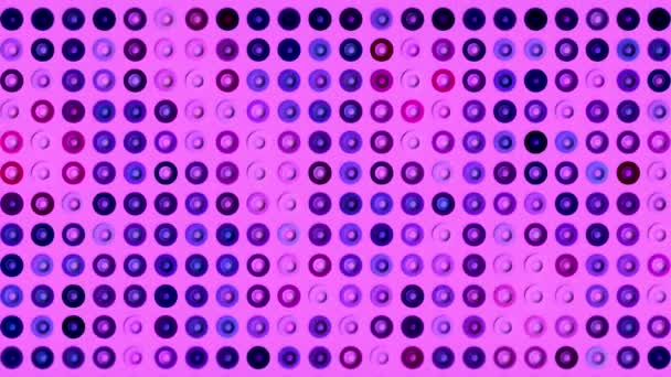 Fond abstrait coloré avec des cercles animés disco égaliseur, boucle transparente. Motion. LED scène concert lumières mur de couleur rose vif avec des cercles chatoyants. — Video